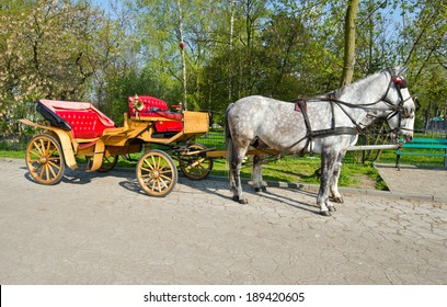 horse-drawn carriage with horses