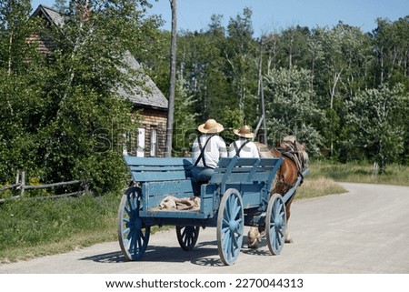 Horse-drawn carriage on the road in the village in summer