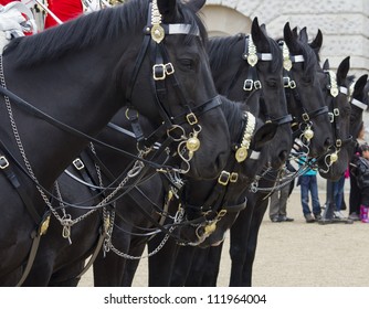 Horseguard on Parade. Horse Guards Parade.