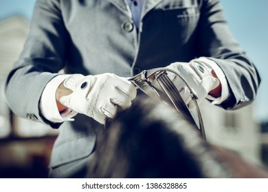 Horseman Outfit. Close Up Of Hands Of A Professional Horse Rider In White Gloves