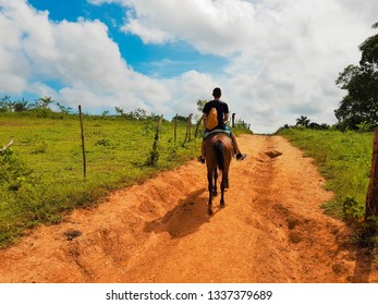 Horse-riding In Viñales, Cuba, 2018