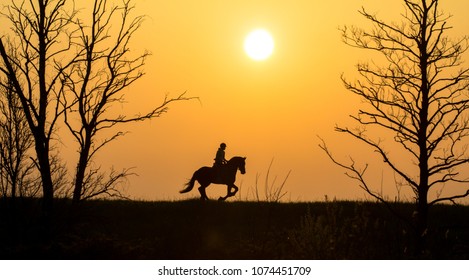 Horseriding in the early evening