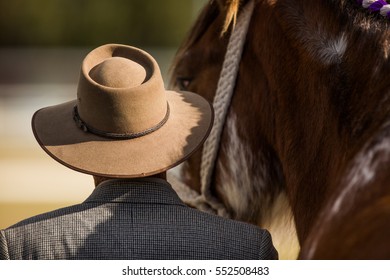 Horses Being Judged At A Country Show