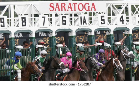 Horses Break From The Gate At Saratoga Race Course