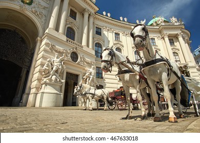 Horses and carriage tradition, Vienna, Austria.
