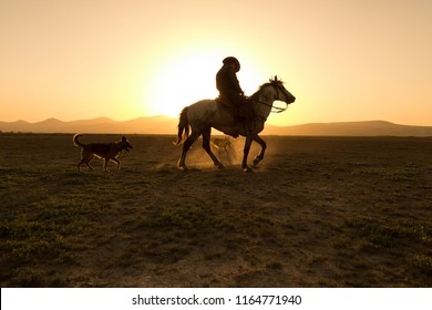 horses, cowboys, dogs at sunset,kayseri