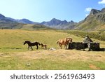 Horses and foals pasting in the mountains in summer in Ordino Arcalis, Mirador Solar de Tristaina in Andorra