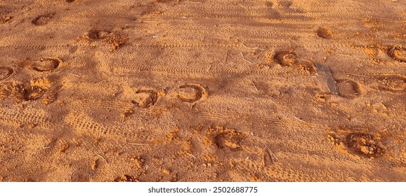 The horse's footsteps on the path - Powered by Shutterstock