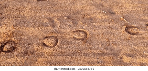 The horse's footsteps on the path - Powered by Shutterstock