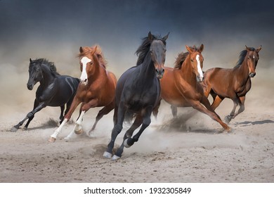 Horses free run on desert storm against sunset sky