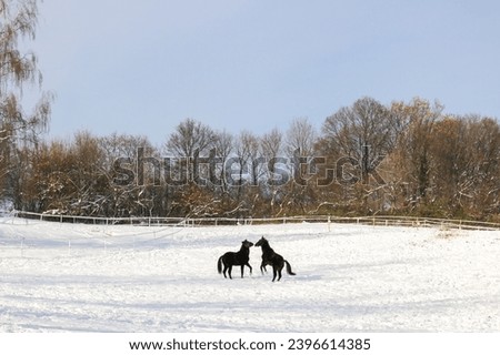 Anwesen Winter