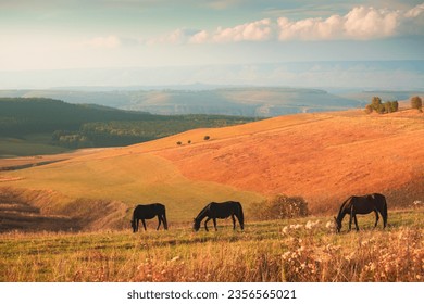 Horses grazing in the autumn mountains at sunset. Beautiful autumn landcsape. Gil-Su valley in North Caucasus, Russia.