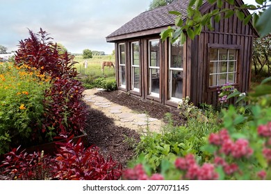 Horses are grazing near a rustic wooden she-shed in a cottage garden on a summer day.