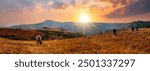 horses grazing on the hills and mountain range in Durban South Africa