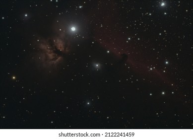 The Horse's Head Nebula (IC 433) and the Flame Nebula (NGC 2024) are large nebulae in the giant cloud of Orion