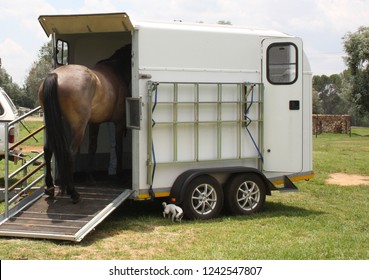 Horses and horseboxes, travel