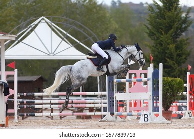 Horses Jumping Fences During Horse Jumping Stock Photo 1677839713 ...