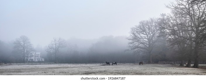 Horses And Manor Beukenrode On Utrechtse Heuvelrug In Winter Morning Fog