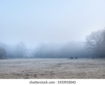 Horses And Manor  In Winter Morning Fog