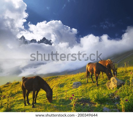 Similar – Image, Stock Photo cowboys Organic produce