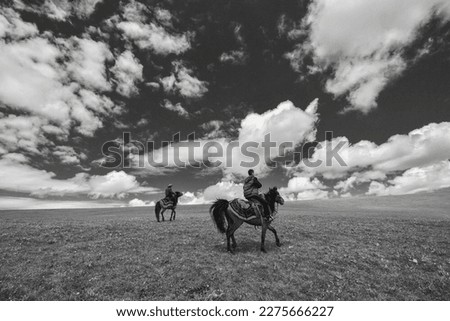 Similar – Image, Stock Photo steppe ride Ride Nature