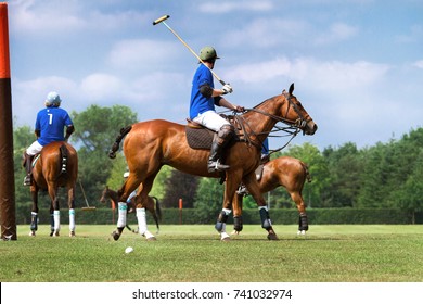 Horses At A Polo Game