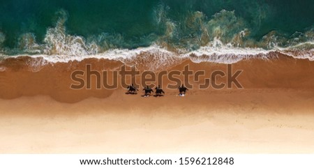 Horses rinding on the beach - drone