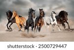 Horses run gallop free in desert dust against storm sky