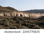 Horses running home to ranch.