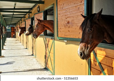 Racing Stable Hd Stock Images Shutterstock