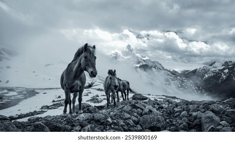 Horses stand on rocky terrain amidst misty mountains and dramatic cloud cover. - Powered by Shutterstock