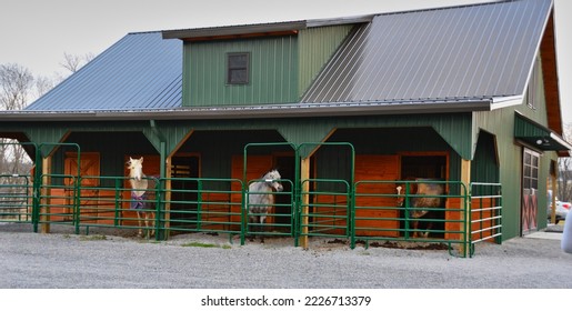 Horses standing behind bars at a horse barn. Each horse is in its own paddock and two have blankets. - Powered by Shutterstock