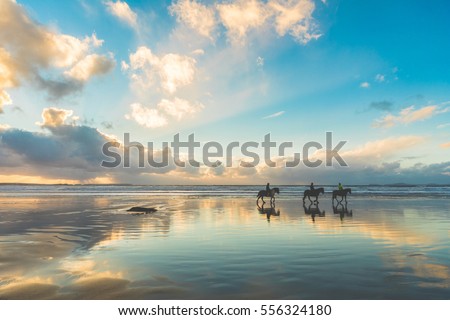 Horses walking on the beach at sunset. Three people riding horses at seaside on a cloudy day. Epic photo, wide angle shot, backlight with silhouette. Sport and travel concepts