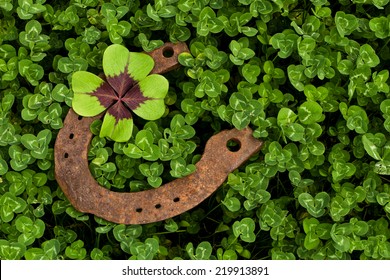 horseshoe with four leaf clover in clover field - Shutterstock ID 219913891
