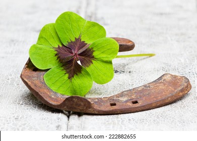 horseshoe and four leaf clover on wood - Shutterstock ID 222882655