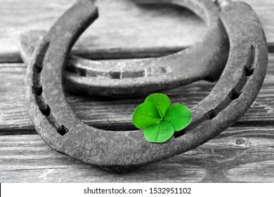 Horseshoe and four-leaf cloverleaf background - Shutterstock ID 1532951102