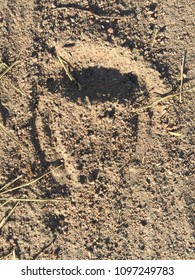 Horseshoe Inprint Or Horse Shoe Relief In Sand, Close Up