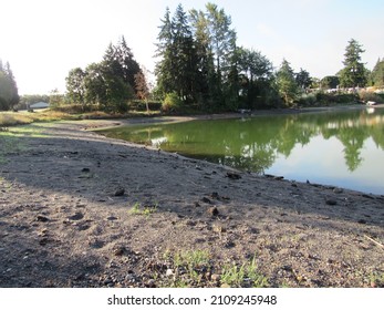 Horseshoe Lake Park In Woodland, Wa