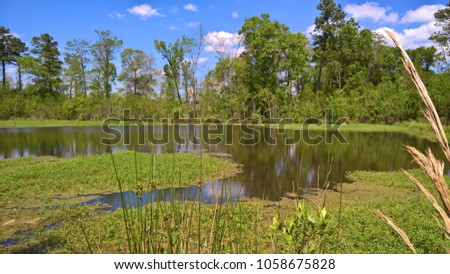 Horseshoe shape marsh