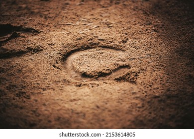 A horseshoe, worn on the hoof of a horse that ran through this area, was imprinted on the sand in the light. Outdoor riding arena. - Powered by Shutterstock