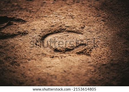 A horseshoe, worn on the hoof of a horse that ran through this area, was imprinted on the sand in the light. Outdoor riding arena.