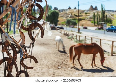 Horseshoes and horses in Gorem in Turkey. Old rusty metal horseshoes on tree branches in Cappadocia. 