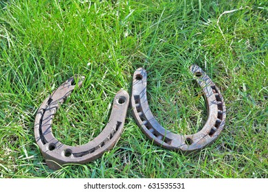 Horseshoes  On Green Grass 