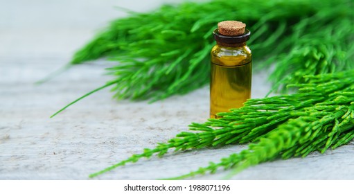 Horsetail Extract In A Small Bottle. Selective Focus. Nature,