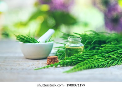 Horsetail Extract In A Small Bottle. Selective Focus. Nature,