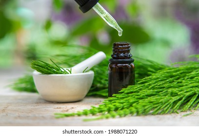 Horsetail Extract In A Small Bottle. Selective Focus. Nature,