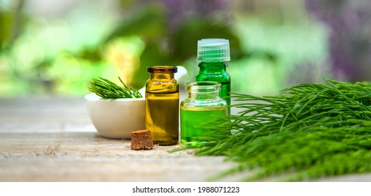 Horsetail Extract In A Small Bottle. Selective Focus. Nature,