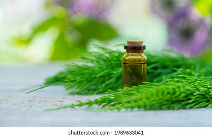 Horsetail Extract In A Small Bottle. Selective Focus. Nature,