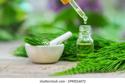 Horsetail Extract In A Small Bottle. Selective Focus. Nature,