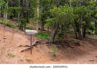 Horsethief Park Trail near Pike's Peak in Colorado is a foot and horse trail that is popular in winter as a Cross Country ski and snowshoe trail.
